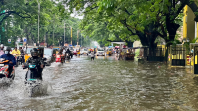 Cyclone in Chennai: No local trains in city due to heavy rain