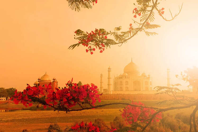 Mehtab Bagh
