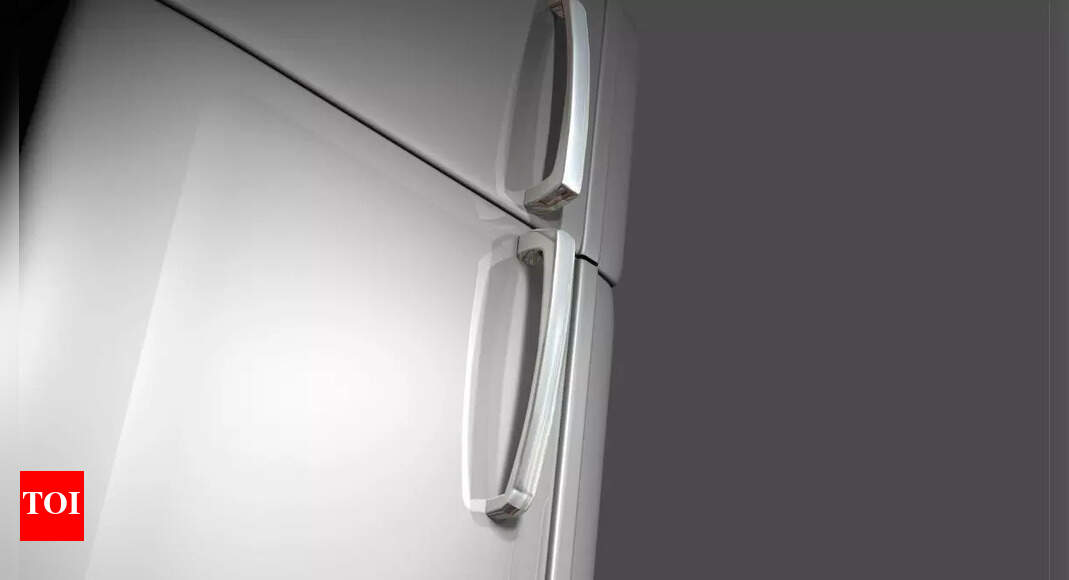 Double Door Fridge Under 30000 Affordable Picks For A MidSized Family