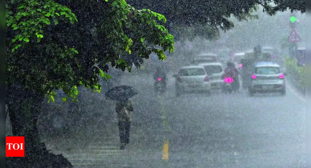 Tamil Nadu schools and colleges closed as cyclone Michaung approaches