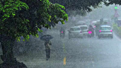 Tamil Nadu schools and colleges closed as cyclone Michaung