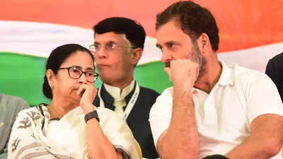 'BJP will not be able to retain power at Centre if ... ': Mamata Banerjee's message after Congress's defeat in assembly elections