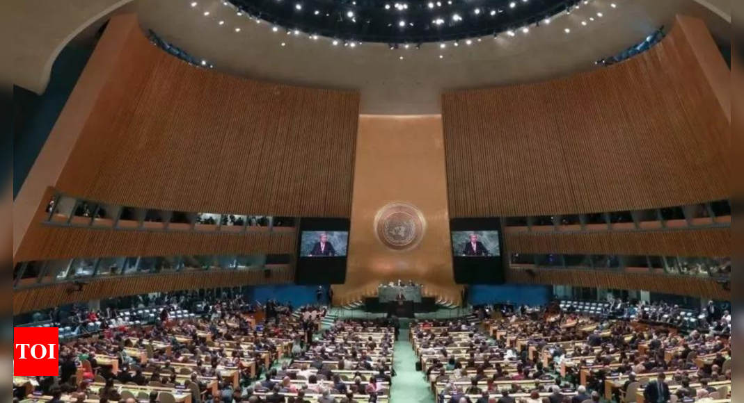 UN Resolution: Resolution for UN tax convention will be successfully passed at general assembly, states official