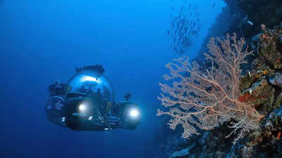 Scientists uncover underwater marvel: Exploring 'Lost City' beneath Atlantic Ocean