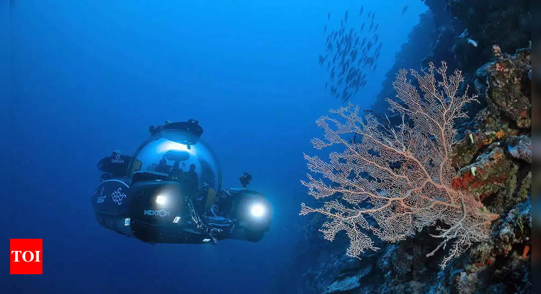 Zaginione Miasto: Naukowcy odkrywają podwodny cud: eksploracja „Zaginionego Miasta” pod Oceanem Atlantyckim