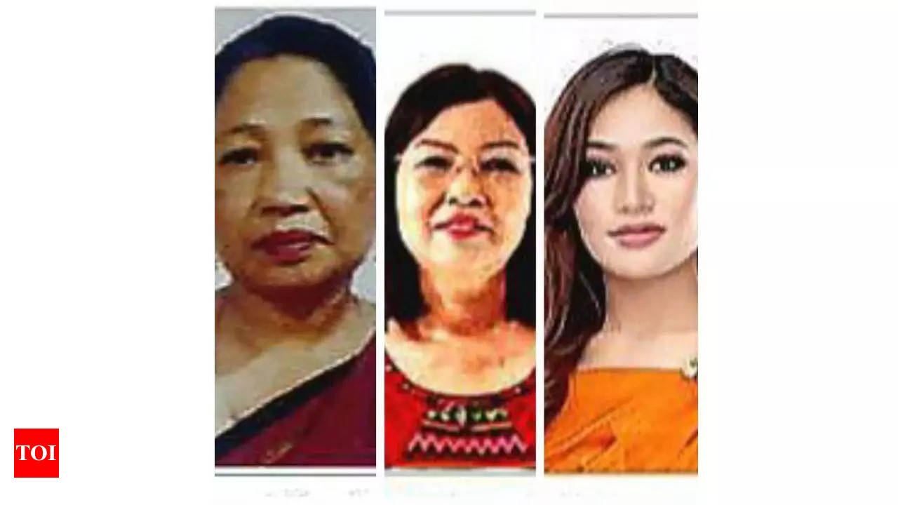 State Assembly: Mizoram elects a record three women to state assembly |  Guwahati News - Times of India