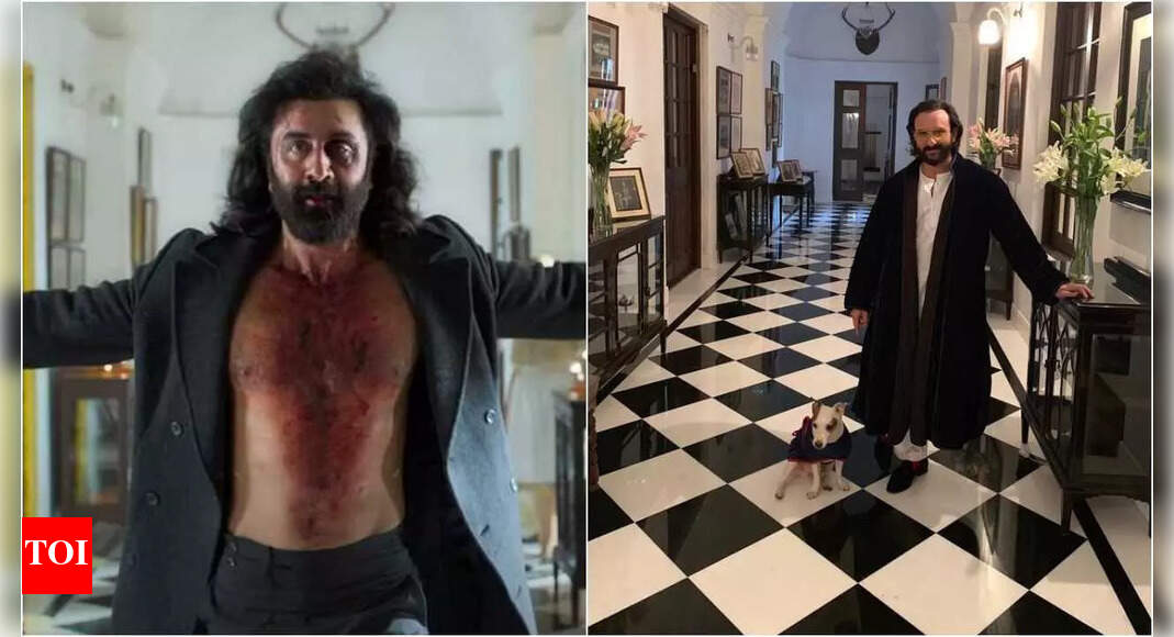 Animal: Ranbir Kapoor’s grand house in Sandeep Reddy Vanga’s directorial is actually Saif Ali Khan’s Rs 800 crore royal Pataudi Palace | Hindi Movie News – Times of India