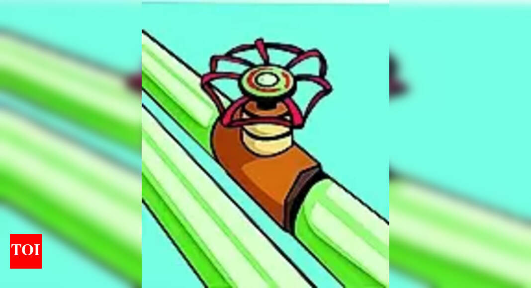 Water Supply No Water Supply in Mangaluru for Two Days Mangaluru