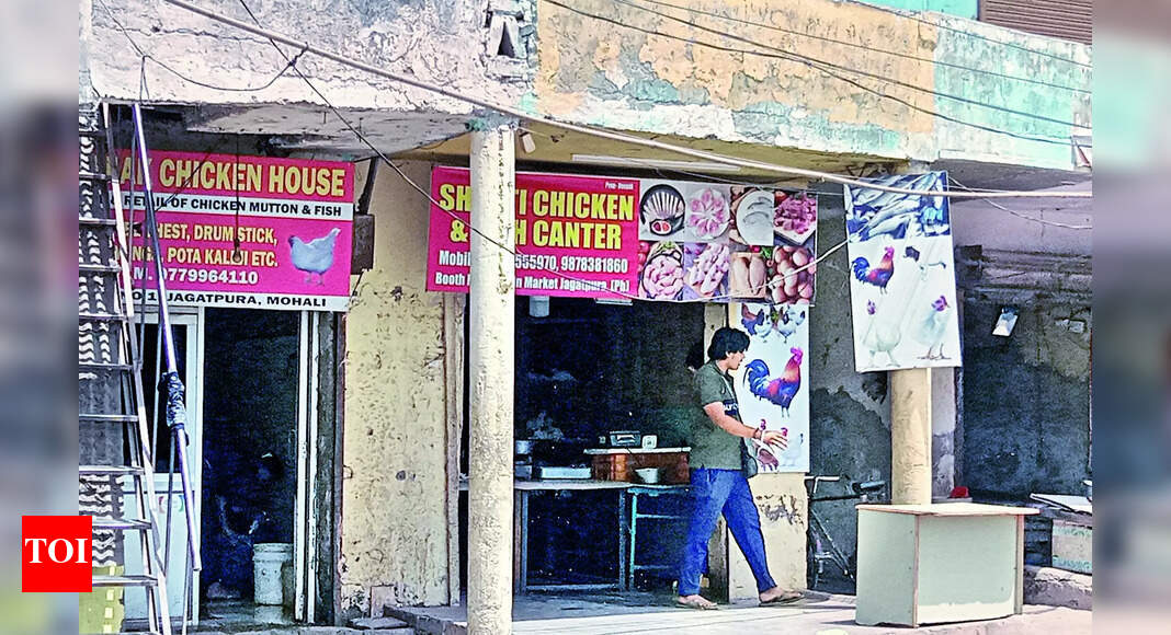 Meat Shops Controversy Surrounding Meat Shops Operating Near Mohali