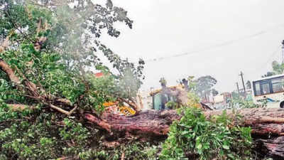 Michaung Landfall Between Nellore And Machilipatnam | Visakhapatnam ...