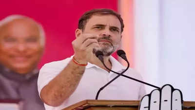 'Distressed', says Rahul Gandhi on Cyclone Michaung, urges Congress workers to help