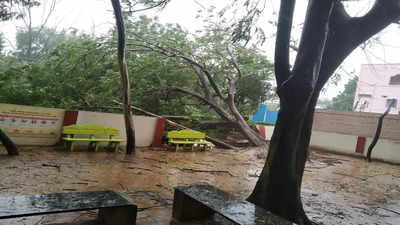 Cyclone Michaung hits coastal Andhra Pradesh; strong winds cause damages to crops, hit power supply
