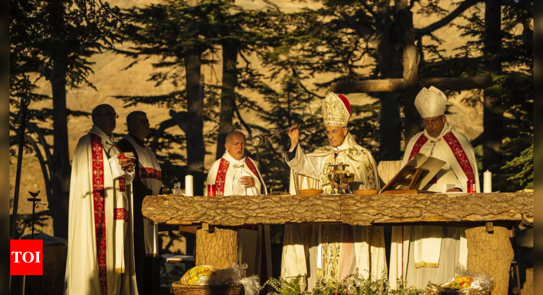 Lebanon’s Christians feel the heat of climate change in its sacred forest and valley