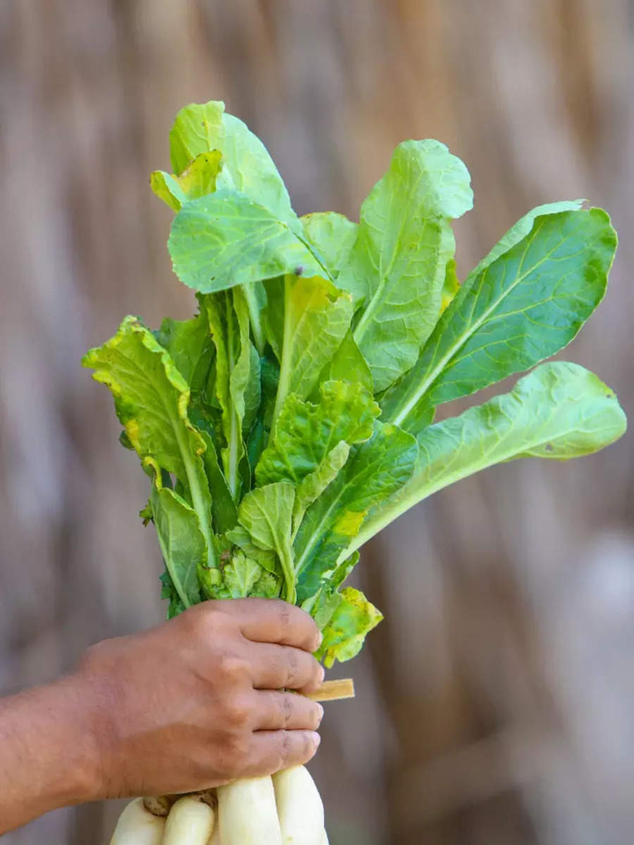 What Are Radish Greens?