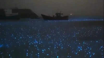 Is Bioluminescence The Most Common Form of Communication on the