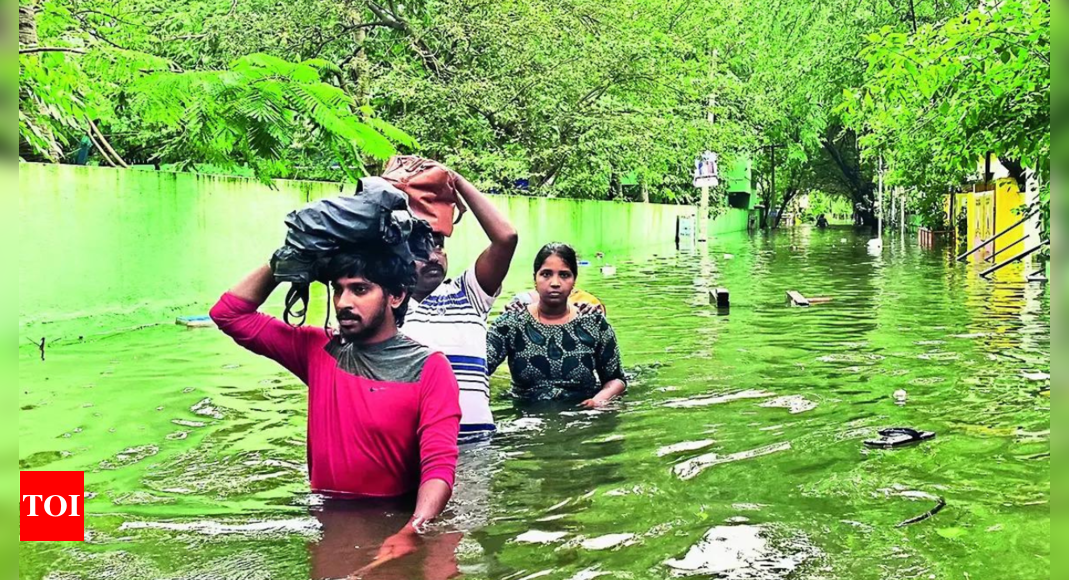 Cyclone Michaung toll rises to 16 in Tamil Nadu; landfall in Andhra Pradesh throws life out of gear | India News