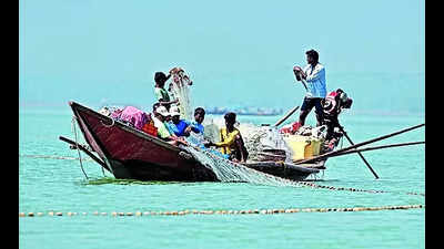 HC gives govt time till Dec 18 for final policy on fishing in Chilika