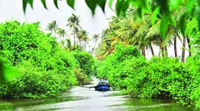 Kumbalangi │Ernakulam│Kerala Tourism│IndiaTourism│Kerala Tours........