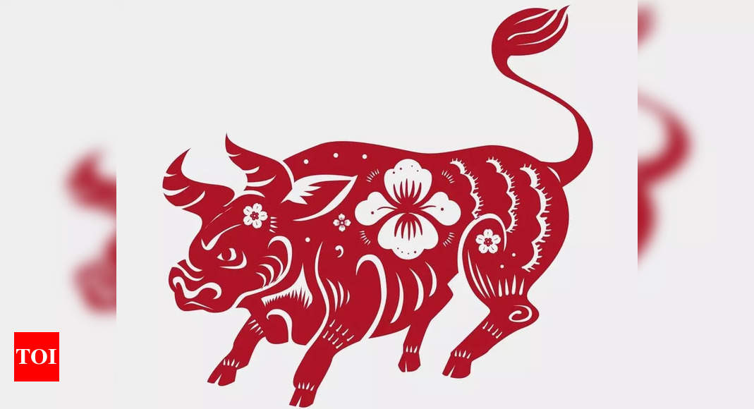 Capricorn Ox Horoscope Prediction 2024 as per Chinese