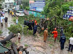 Cyclone Michaung pictures
