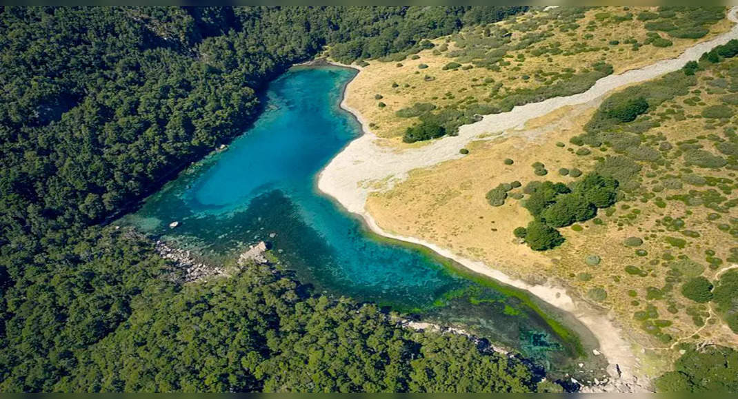 This lake has world's clearest water!, New Zealand - Times of India Travel