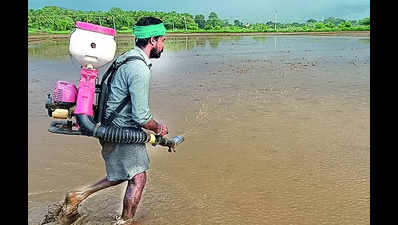 Madurai farmers deploy power sprayer from delta for sowing