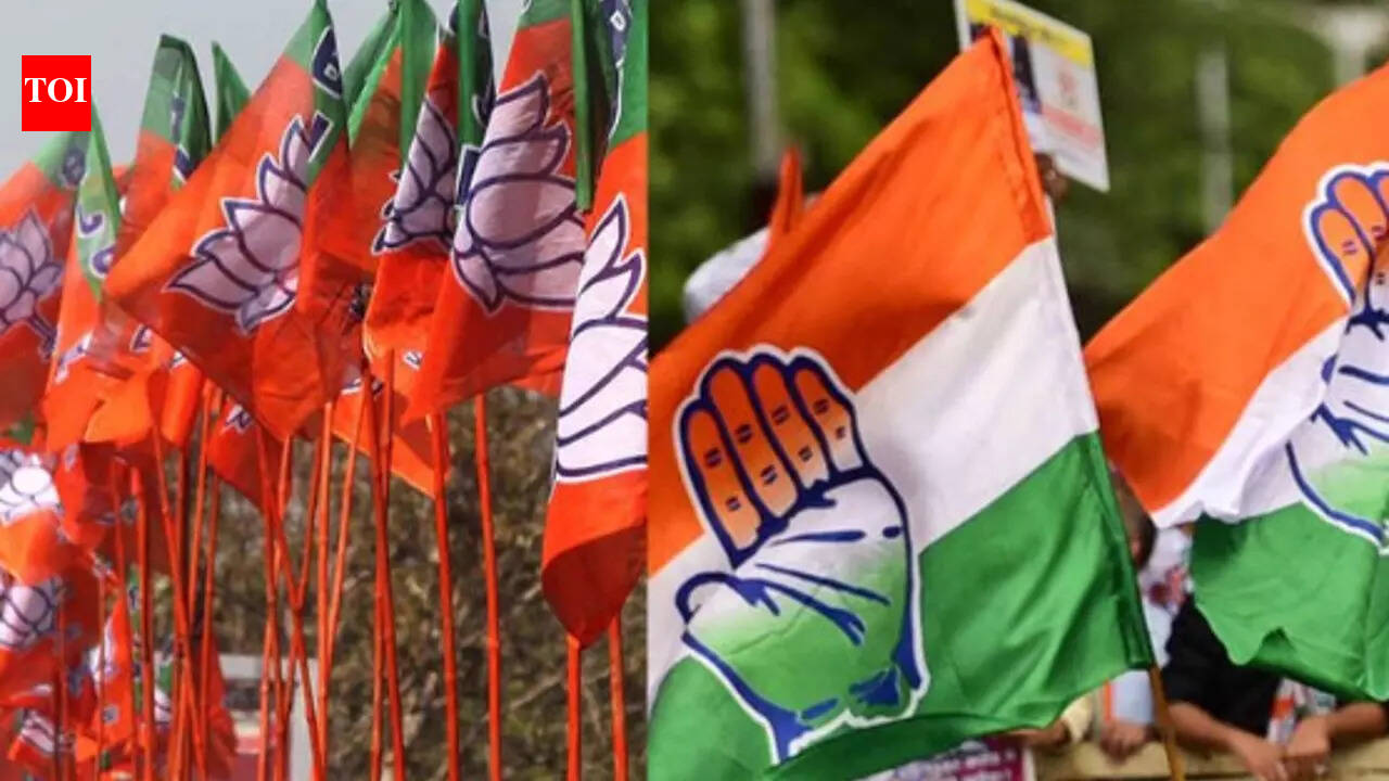 Mlas In Mp: 205 of 230 MLAs in MP are crorepatis; BJP MLA richest: ADR ...