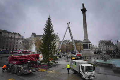 Norway's annual 'Christmas Tree' gift to London faces quirky criticisms