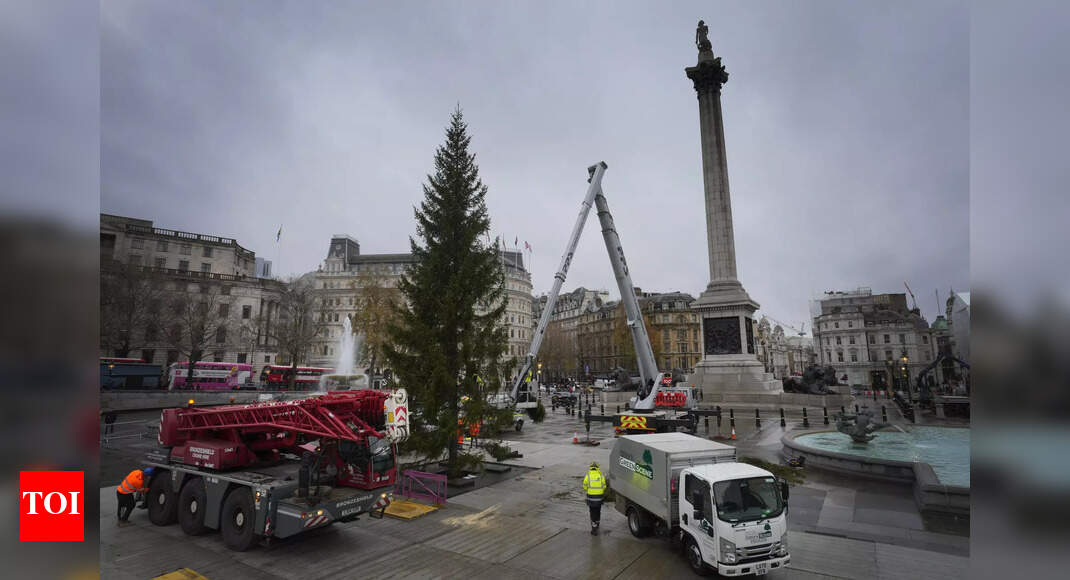 Norway&#039;s annual &#039;Christmas Tree&#039; gift to London faces quirky criticisms