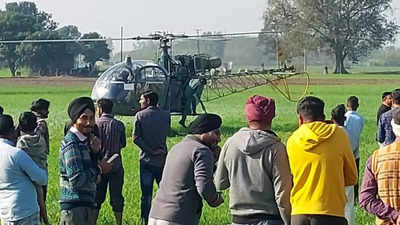 Indian Air Force's Cheetah helicopter makes 'precautionary landing' in Yamunanagar