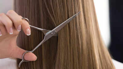 Best Hair Cutting Scissors: Top Picks Online