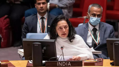 At UN, India calls out state complicity in 'suppressing activities of transnational criminal groups'