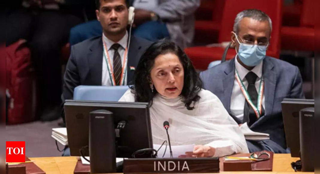 At UN, India calls out state complicity in 'suppressing activities of ...