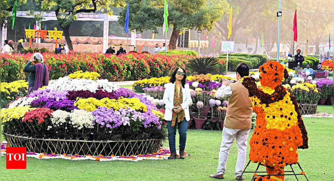Chrysanthemum Show UT administrator to open Chrysanthemum Show today