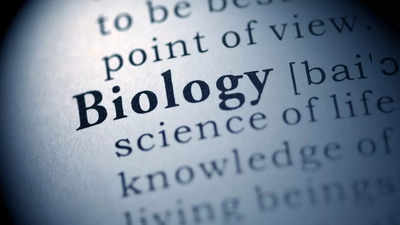 CBSE Class 12 Biology Sample Paper 2024: Download, Solve & Score High!