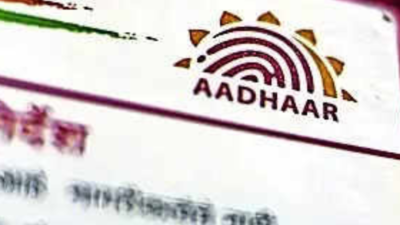 You have four days to update your Aadhaar details for free: All the details