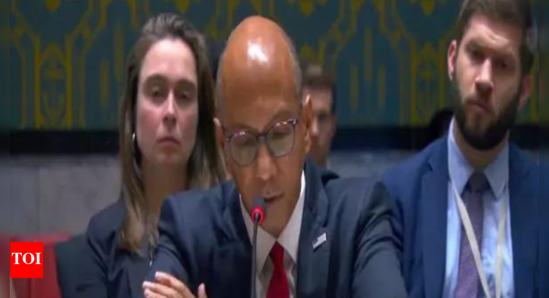 US vetoes UN resolution calling for immediate ceasefire in Gaza - Times ...