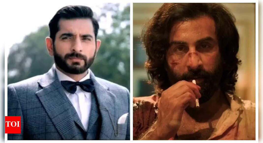 Animal is a film, not a social awareness campaign: Siddhant Karnick on Ranbir Kapoor’s role being criticised for ‘toxic masculinity’ – Times of India