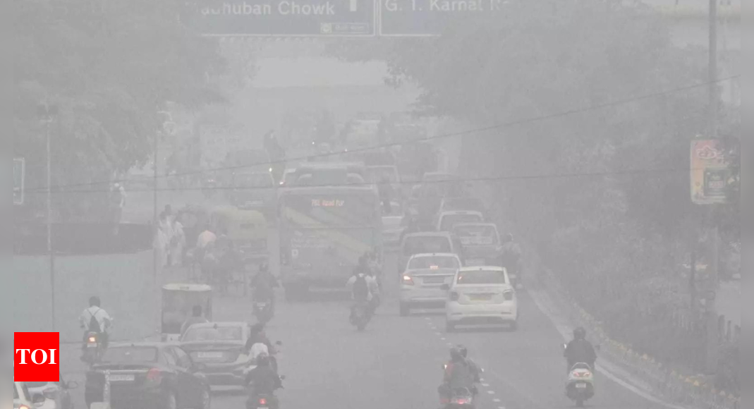 World Bank launches comprehensive programme to combat air pollution crisis in India