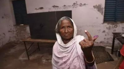 3.30 lakh elderly, PwDs used home voting facility in last 11 assembly polls