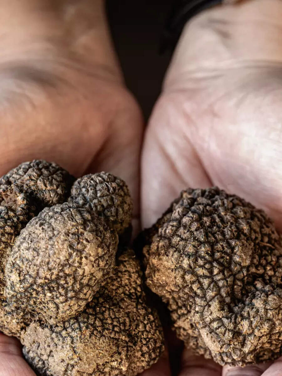 10 health benefits of eating Truffles Times of India