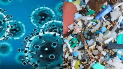 Covid-19 led to reduction of microplastics in Goa's Mandovi, Zuari estuaries: Research paper