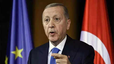 Turkey's Erdogan denounces UN 'Israel protection council'