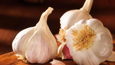 US senator seeks probe into Chinese garlic, cites national security concern