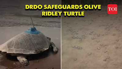 DRDO Adopts Eco-Friendly Stance: Halts Missile Testing to Safeguard Olive Ridley Turtles