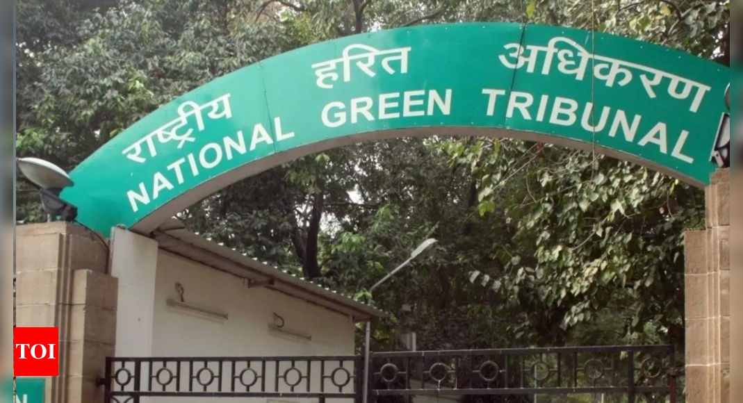 Several states haven’t utilized funds received under National Clean Air Programme and 15th Finance Commission, says NGT | India News – Times of India