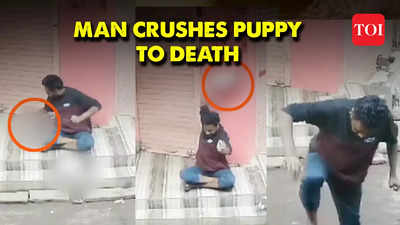 Horrific act: Man caught on cam hurling puppy to the ground before crushing it to death, CM Chouhan reacts strongly