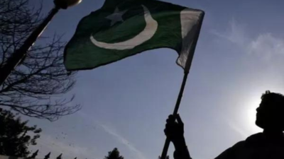 Pakistan: Senate chairman accepts Imran Khan's party leader Shaukat Tarin's resignation