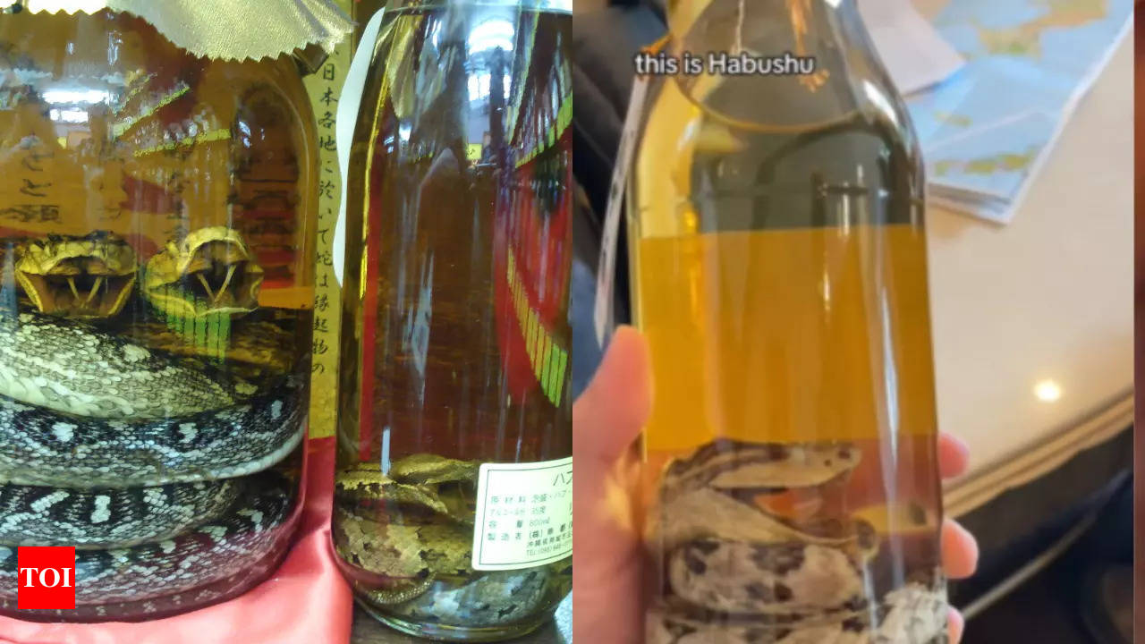 Would you try snake venom? 🐍, Japanese Food