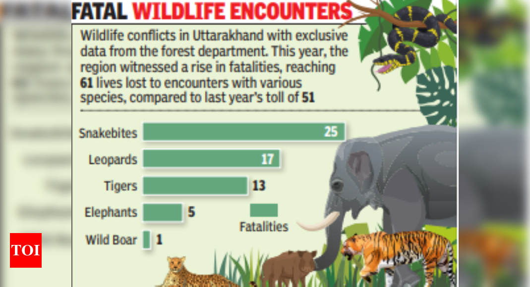 61 killed in human-wildlife conflicts in U'khand this yr | Dehradun ...